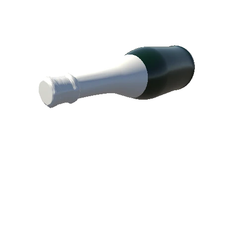 bottle (1)